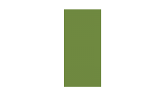Duni-Zelltuch-Serviette,33x33cm,3-lagig, 1/8 Buchfalz, leaf green