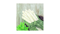 Zelltuch-Serviette, 33x33cm, 3-lag 1/4-Falz, 'Fresh asparagus'