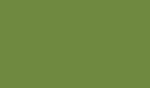 Duni-Zelltuch-Serviette,33x33cm,3-lagig, 1/8 Buchfalz, leaf green