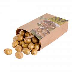 Papier-Tragetasche 'Frische Kartoffeln' 22+11x31cm, Flachhenkel, 90g/qm, braun