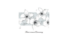 Linclass-Serviette, 33x33cm, 1/4-Falz, 'Zur Erinnerung'