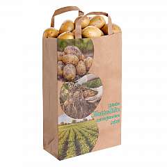 Papier-Tragetasche 'Frische Kartoffeln' 22+10x36cm, Flachhenkel, 90g/qm, braun