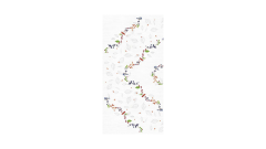 Linclass-Mitteldecke, 80x80cm, 'Brenda'