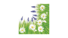 Linclass-Serviette, 40x40cm, 1/4-Falz, 'Nele'